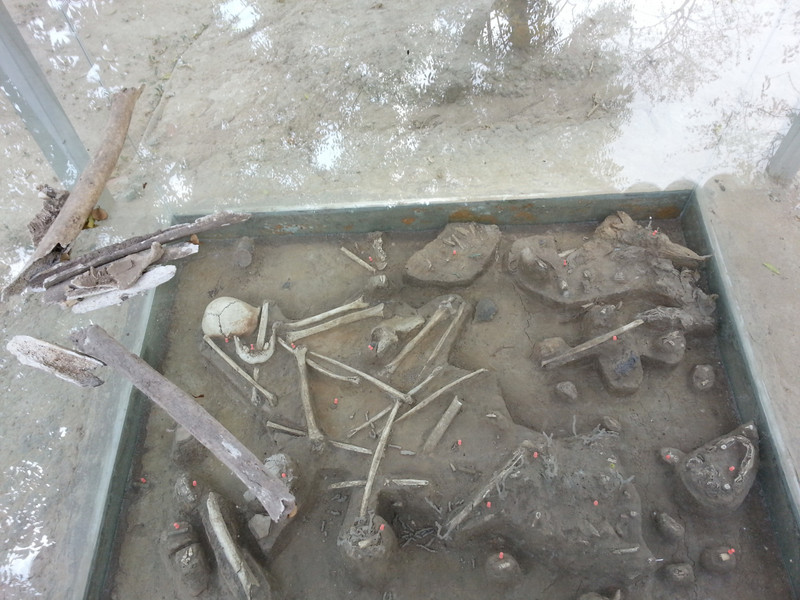 Part of one of the mass graves