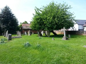 The graveyard at Thaxthed