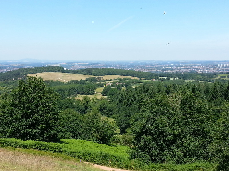 Views fro Clent