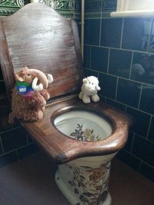 Toilets don't get better than this!