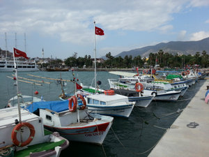 Alayna Harbour