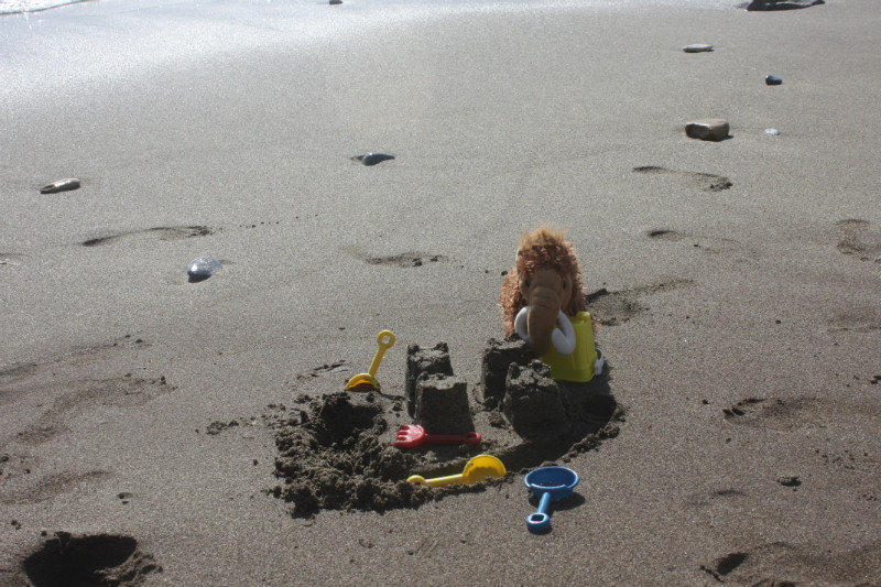 Building my first ever sand castle