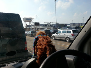 Waiting for the ferry