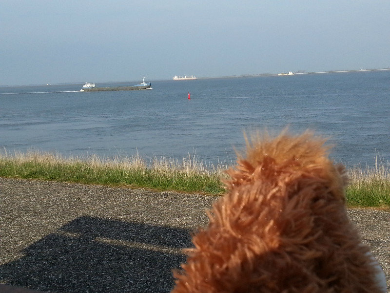 Watching the ships in Baarland