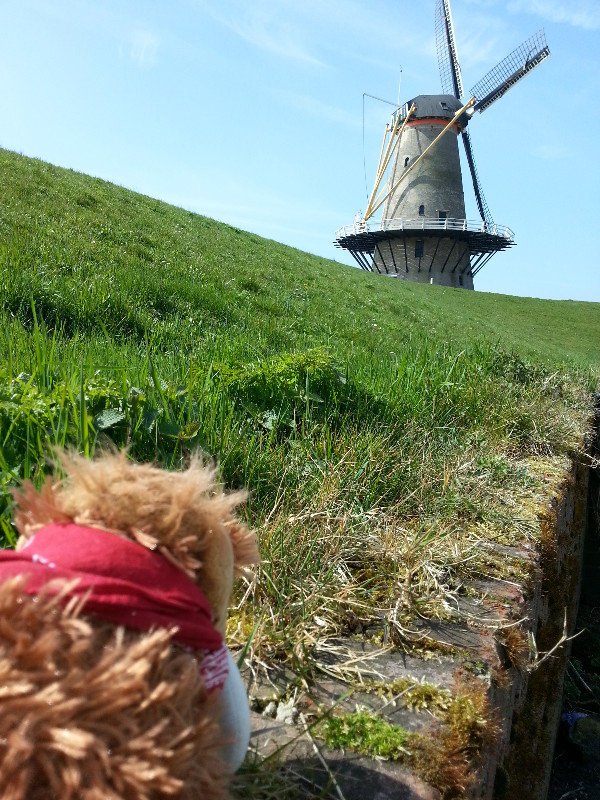 My first Windmill