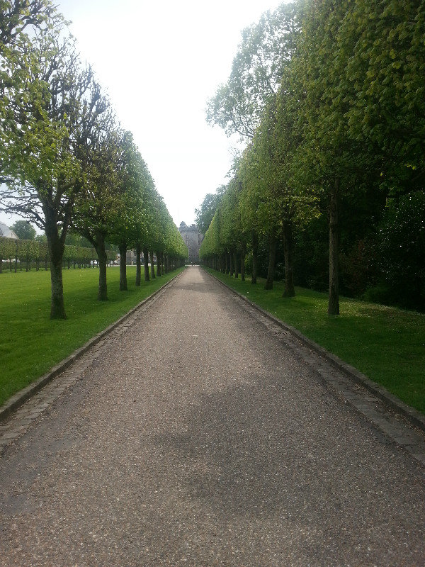 Regimented Trees on the way to the Palace