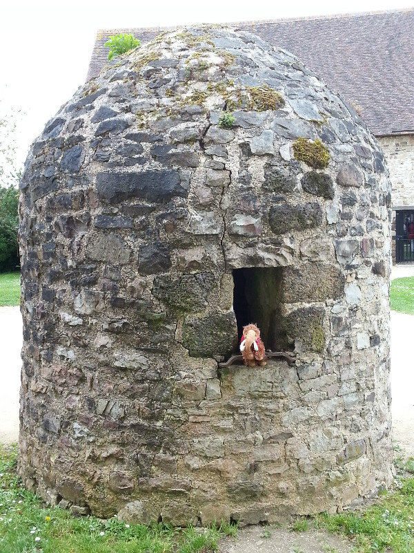 Woolly is King of the Castle!