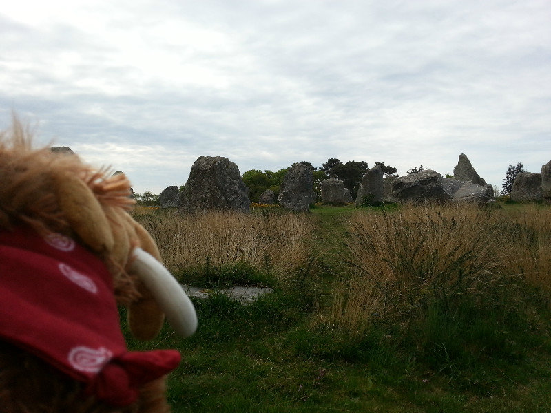 Overlooking the stones at Carnac