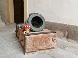 Woolly sized cannon
