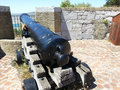 Another Cannon