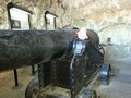 Cannons in the Tunnels