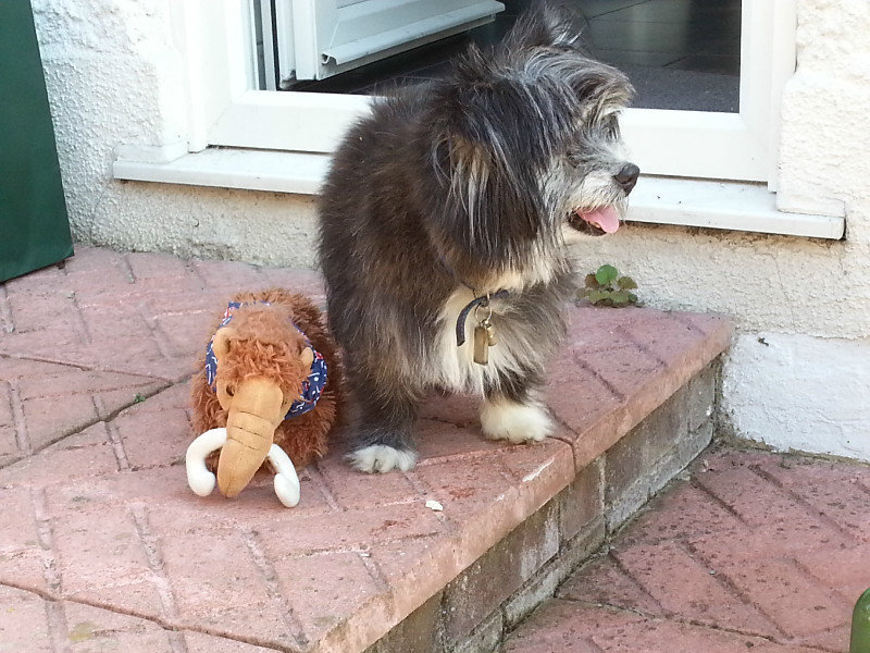 Woolly says goodbye to his friend Maxie