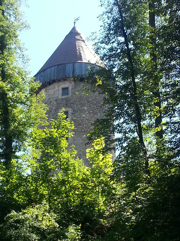 Tower in the Trees