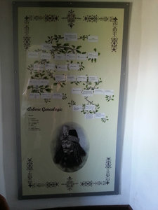 The Vlad family tree showing Vlad Dracule
