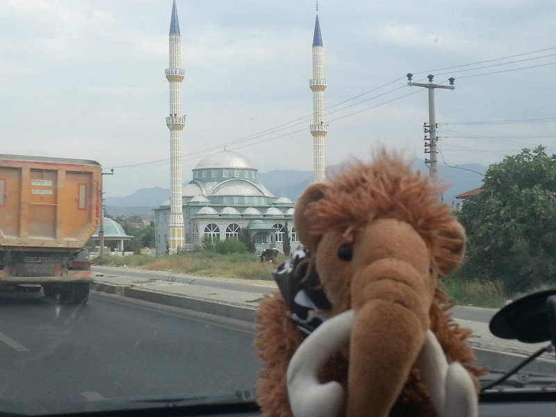 Mosques on the Road