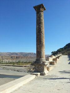 Column on Bridge