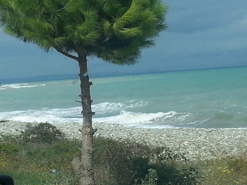 A Very Blue Black Sea