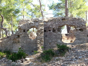 Ruins in the trees