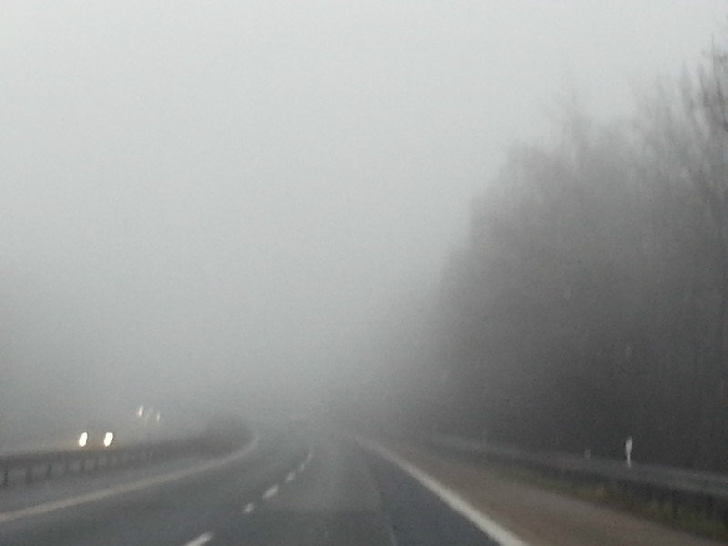 Fog Ahead