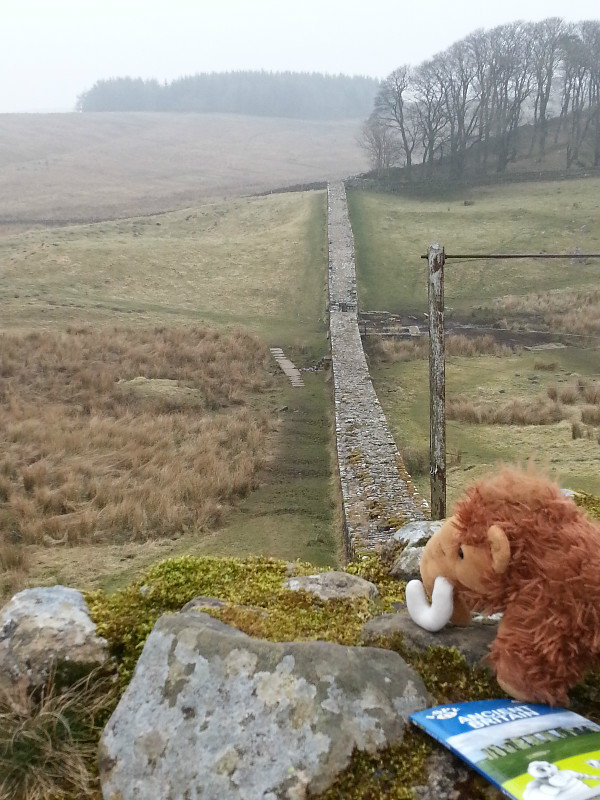 I Spy at Hadrian's Wall
