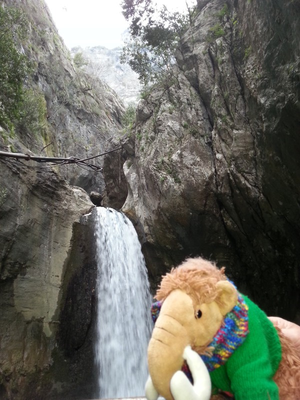 The Waterfall and a Mammoth
