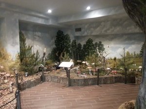 Layout in the Natural History Museum