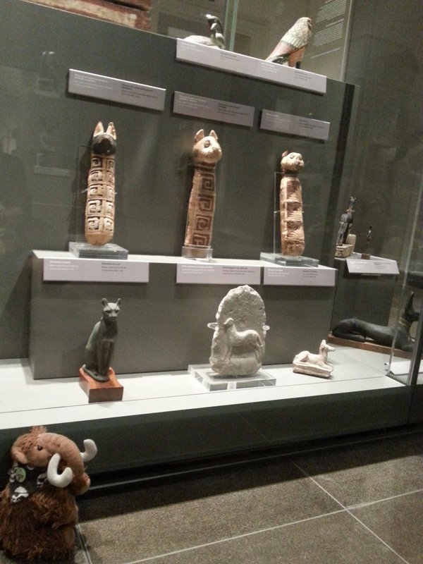 Mummified animals