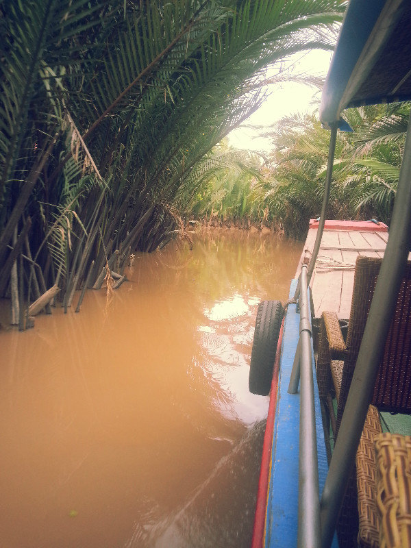 mit dem Boot durch Mangroven