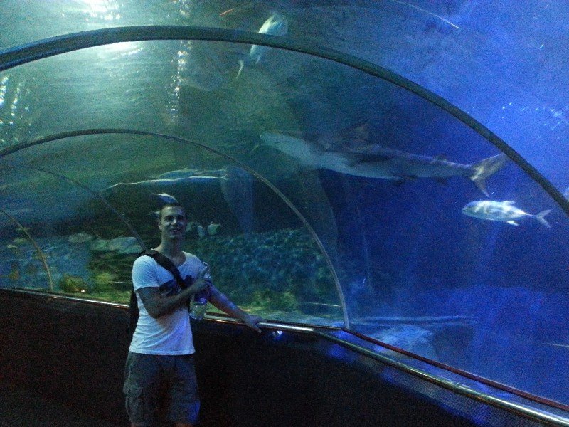 Aquarium im Vinpearl