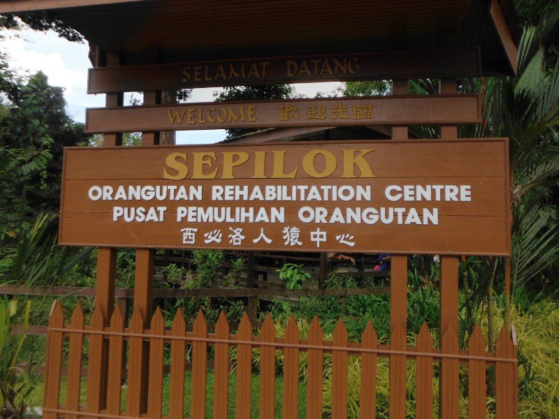 Eingang zum Orangutan Center