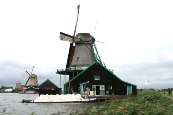A real windmill