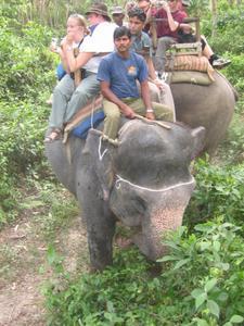 Lets cram those tourists on the elephant!