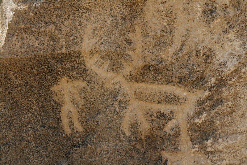 Qobustan petroglpyhs - reindeer and man