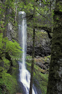 Sivler Falls in Oregon