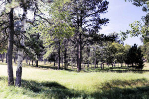 Custer Country Pano
