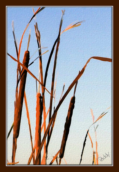 Cattails and River Grass