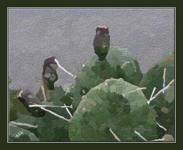 Prickly Pear Painting