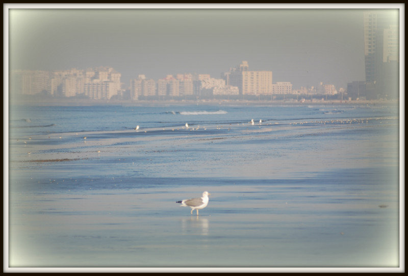 Karachi_Morning_Beach_2013