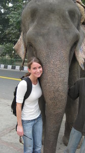 hanging with the elephants in Delhi