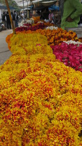 jaipur flower market