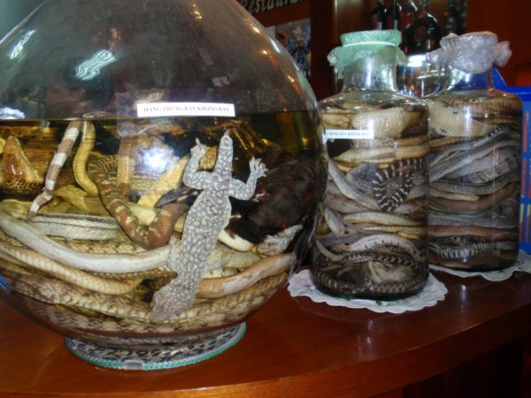 preparing the snake wine...and a few other friends
