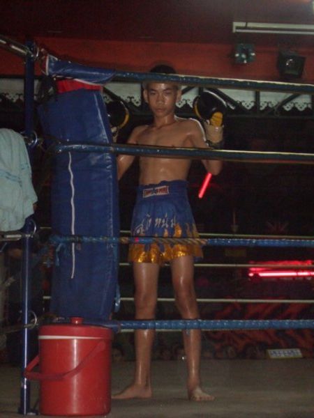 thai boxing nipper