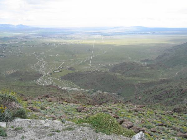 Anza-Borrego View