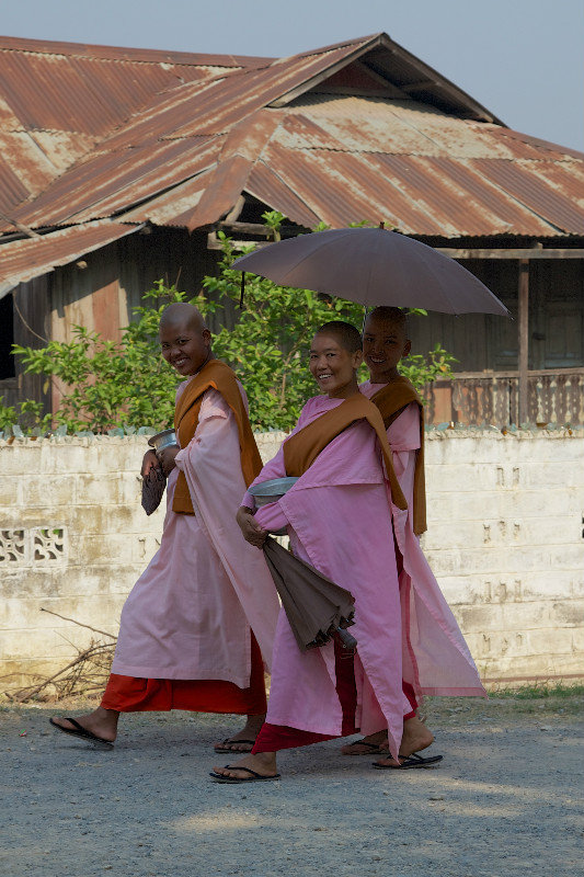Nuns at Nyaung Shwe