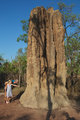 Cathedral Termite Mound, Litchfield NP