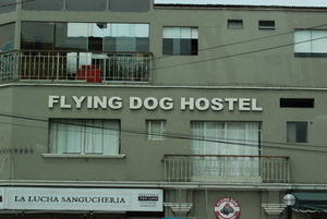 Flying Dog is big in South America