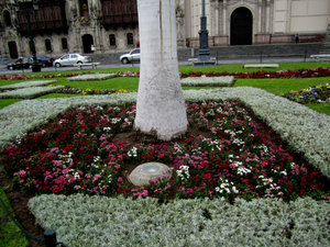 Mayor Plaza Flowers