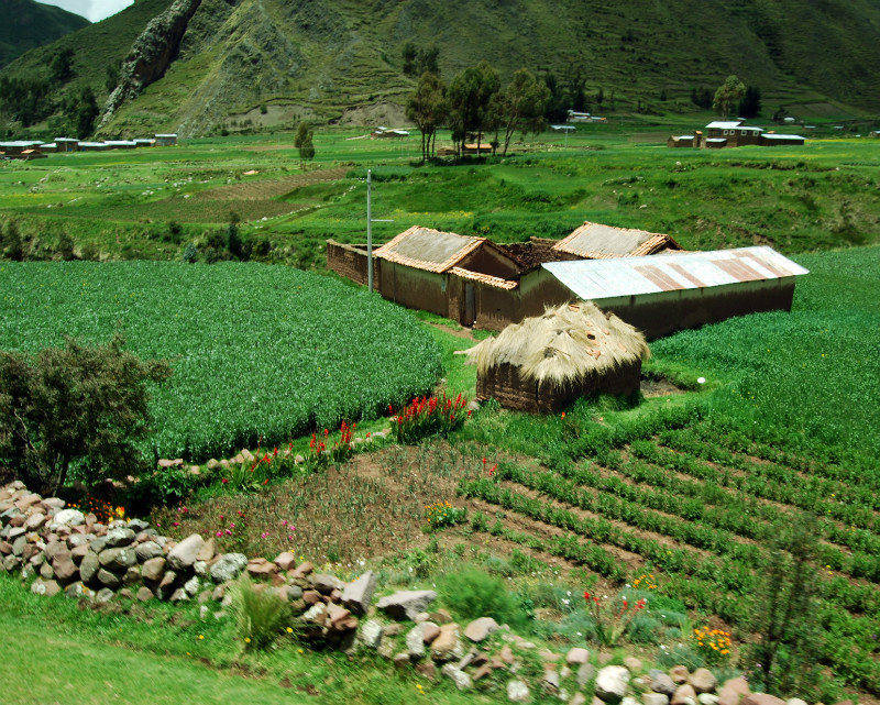 Beautiful rural Peru-001