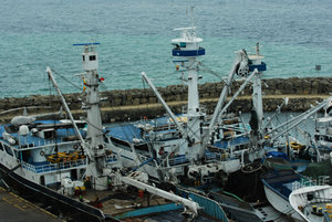 Fishing Ships with Mother Ship