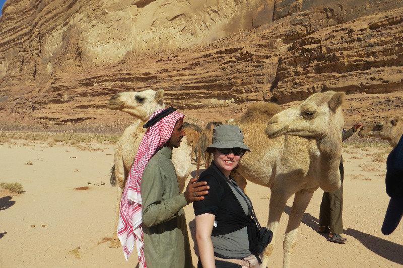 Meeting the camels